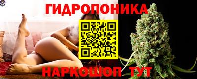 стафф Коммунар