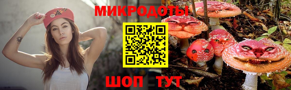 Псилоцибиновые грибы MAGIC MUSHROOMS  Псилоцибиновые грибы мухоморы  Вход с VPN  Кимры 
